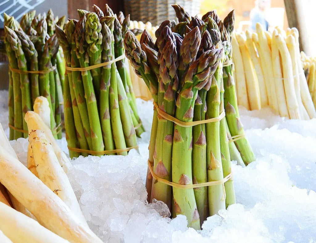 Mary Washington Asparagus Plants | Heirloom Bare Root Crowns (2-Year) | Tender Spears, Winter Hardy, Heat & Rust Resistant (Zones 3–8)