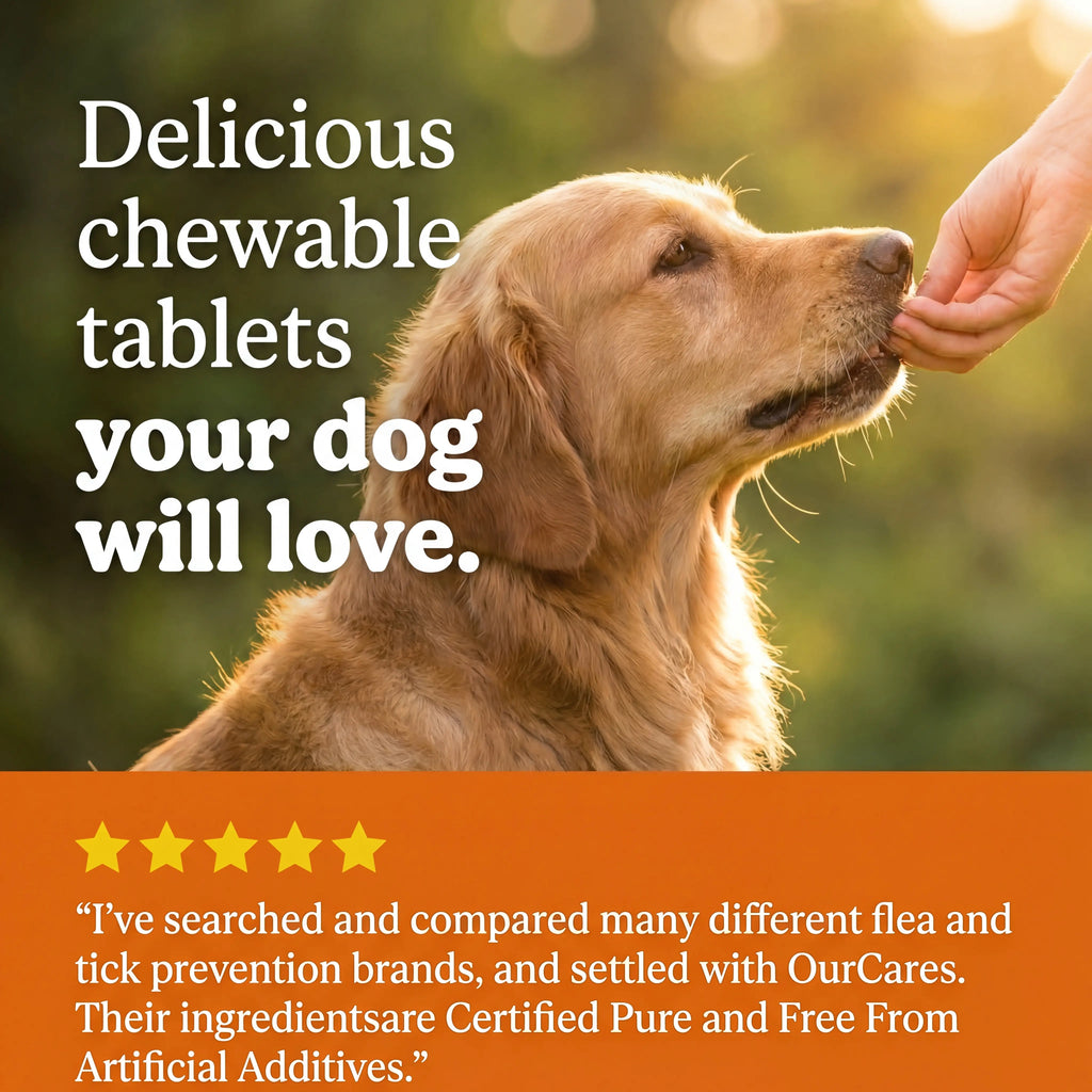 OURCARES Bites Prevention Chews for Dogs Natural Chicken Flavor 120 Count Plant-Based with Probiotics Coconut Oil Flaxseed & Fish Oil for All Breeds-New & OLD PACKAGING,RANDOM DELIVERY