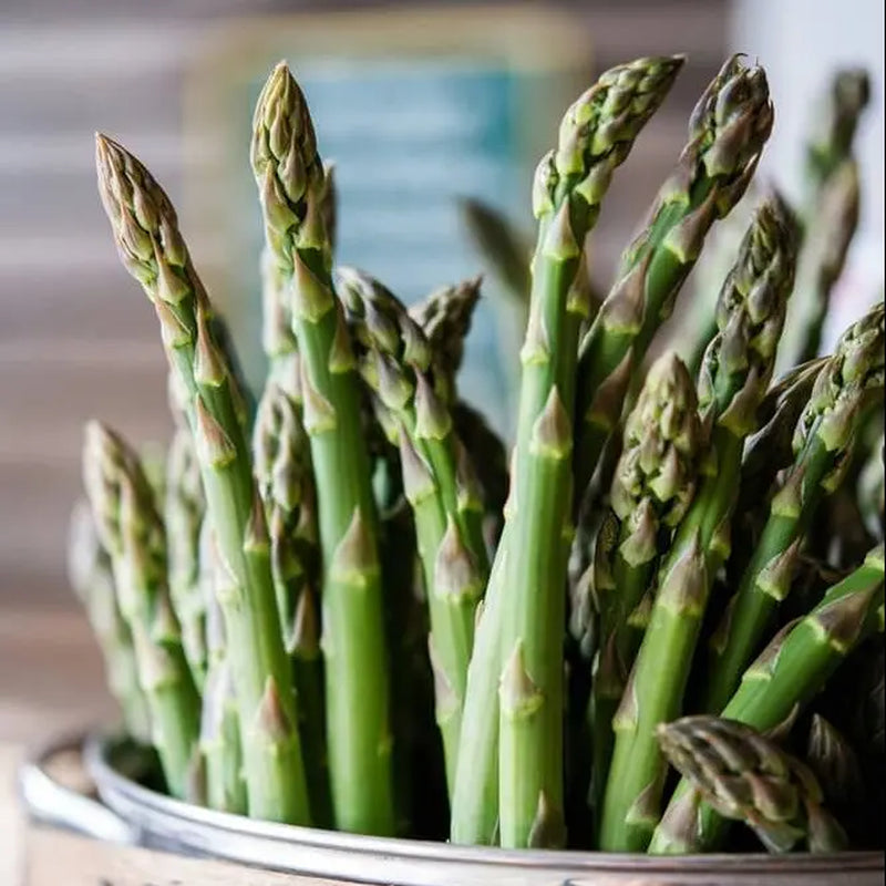 Mary Washington Asparagus Plants | Heirloom Bare Root Crowns (2-Year) | Tender Spears, Winter Hardy, Heat & Rust Resistant (Zones 3–8)