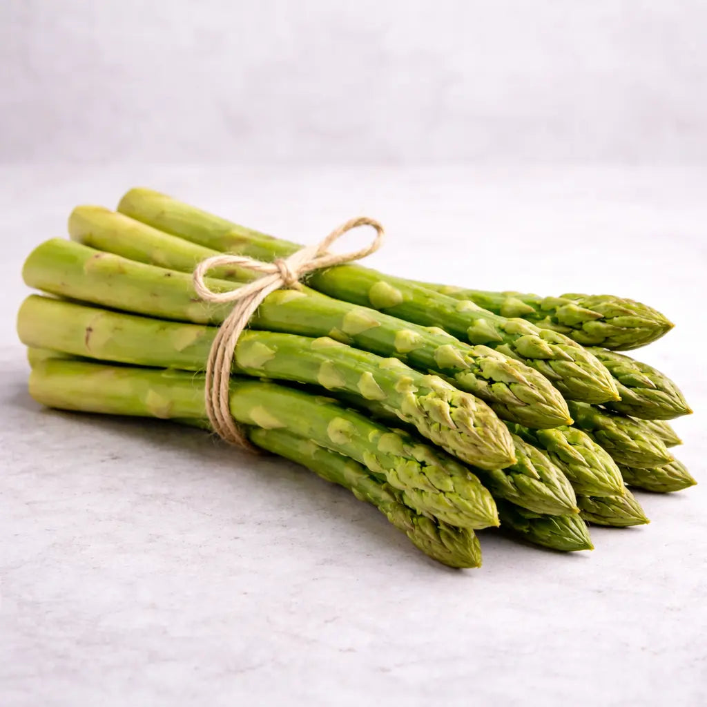 Mary Washington Asparagus Plants | Heirloom Bare Root Crowns (2-Year) | Tender Spears, Winter Hardy, Heat & Rust Resistant (Zones 3–8)